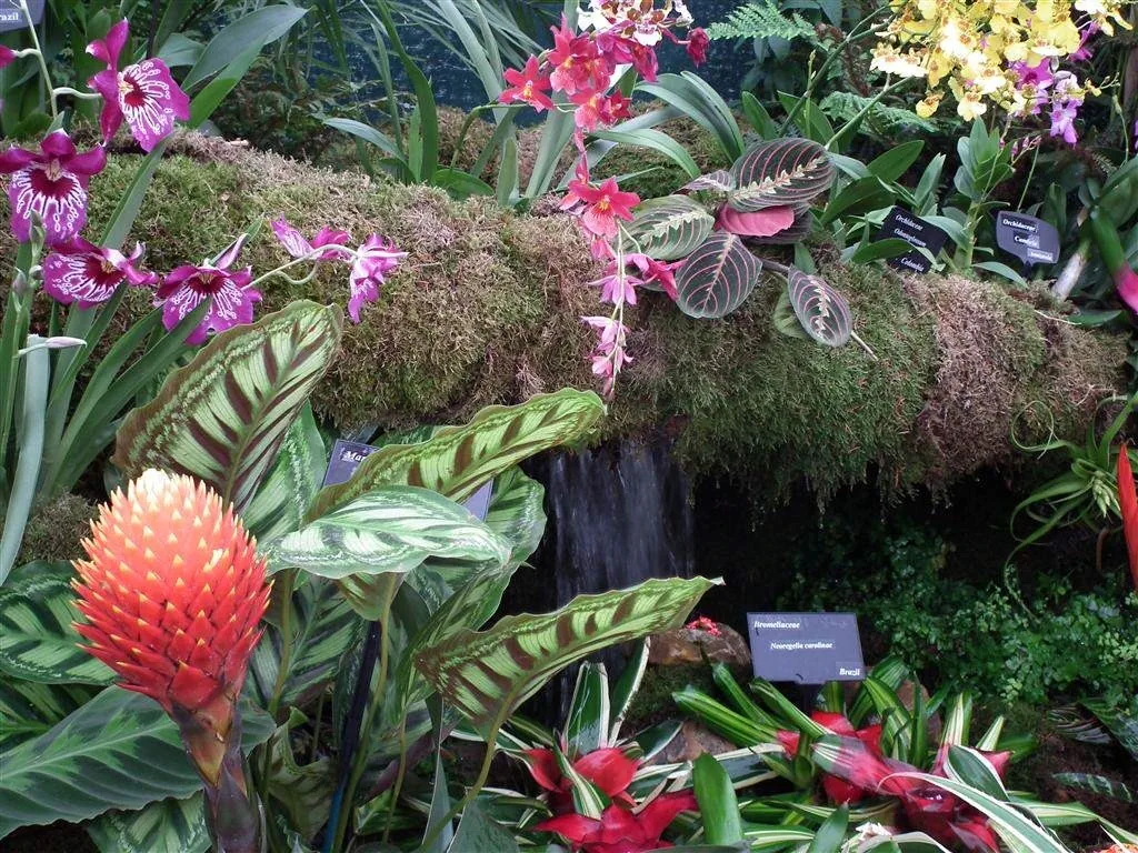 Floral marquee in the long water area 25